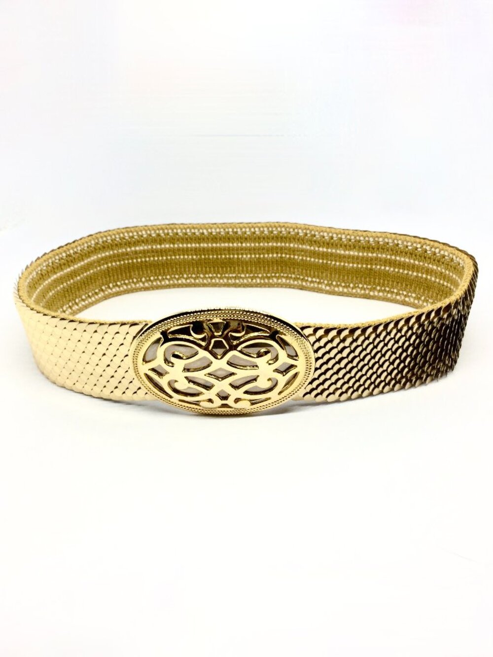 VINTAGE GOLD TONE Stretch Belt Day Lor Wide Scale Statement Disco Waist Cinch
